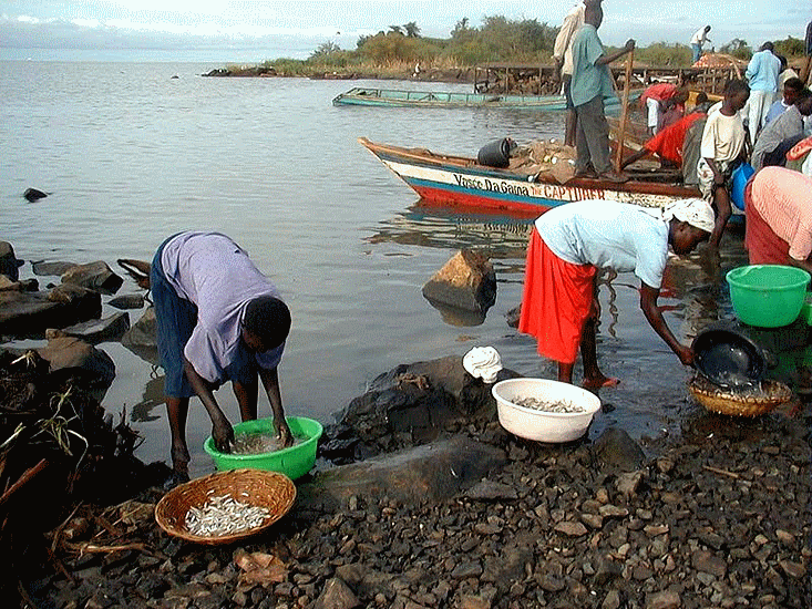 water_pollution_sustainable_development_potable_trinkwasser_africa_india_bengladesh_desert_drought_scheresse